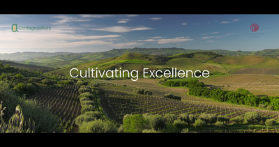 Cultivating Excellence