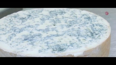 Gorgonzola Cheese