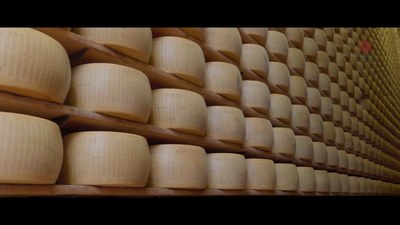 The World of Parmigiano Reggiano