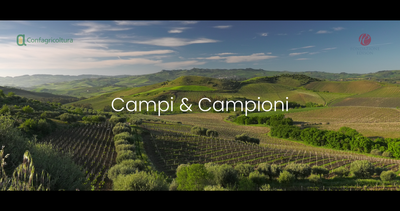 Campi & Campioni